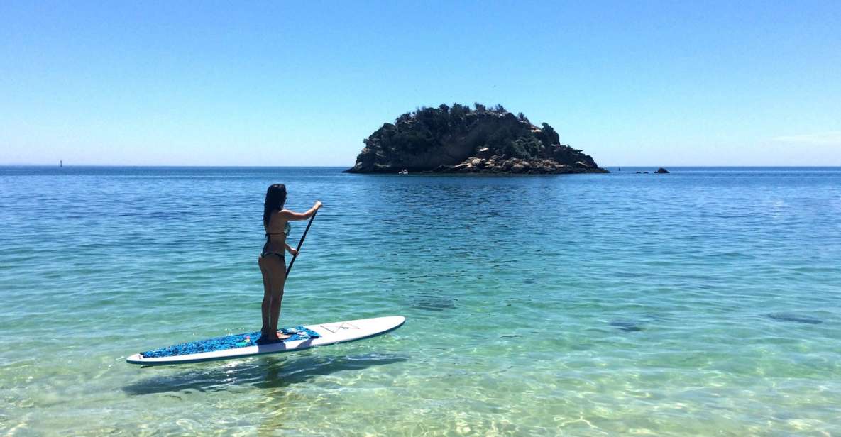 From Lisbon: Nature Park of Arrábida Paddleboarding - Pricing and Booking