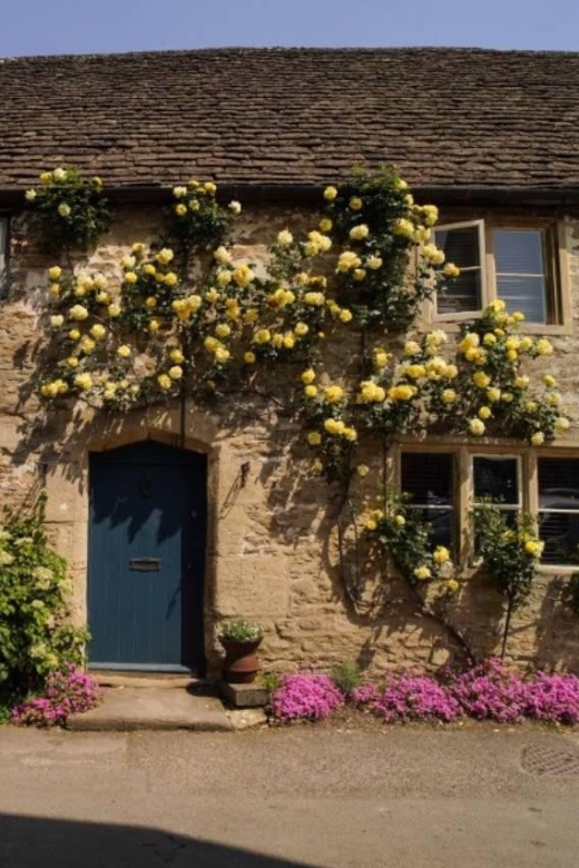 From London: Cotswolds, Country Pub Lunch & Lavender Fields - Exploring the Cotswolds