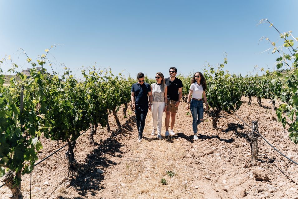 From Málaga: Ronda & Winery Experience With Wine Tasting - Itinerary and Highlights