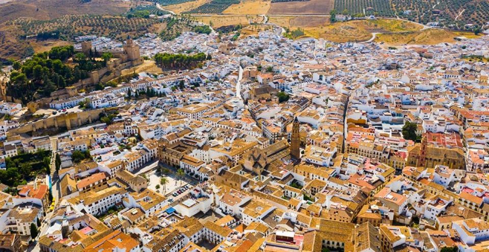 From Marbella: Antequera Wine Tour With Tastings and Lunch - Pickup and Group Size