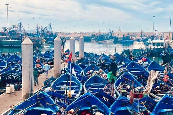 From Marrakech: Essaouira Full-Day Trip - Explore the Medina Wonders