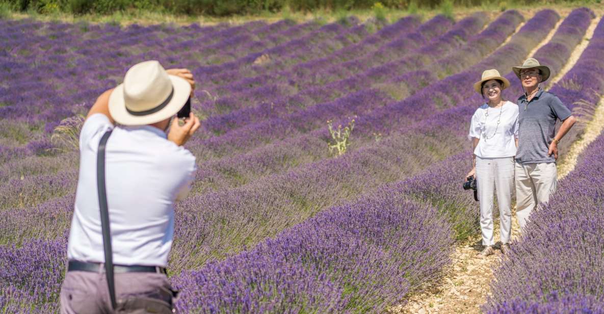 From Marseille: Valensole Lavenders Tour From Cruise Port - Participant Capacity and Suitability