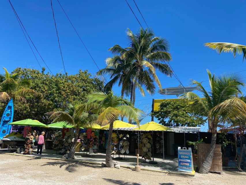 From Miami: Key Largo & Islamorada Private Open-Top Bus Tour - Highlights