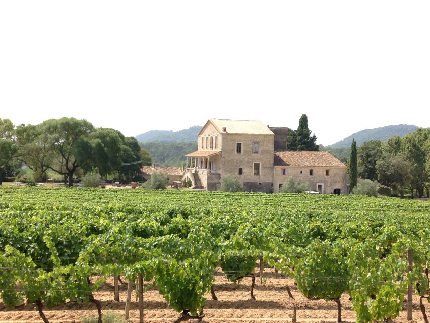 From Montpellier: Pic Saint-Loup Wine and Food Tour - Tour Details