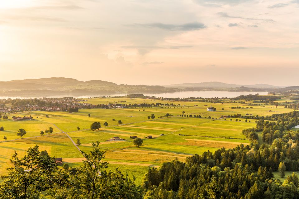 From Munich: Neuschwanstein Castle Full-Day Trip by Van - Picturesque Bavarian Countryside