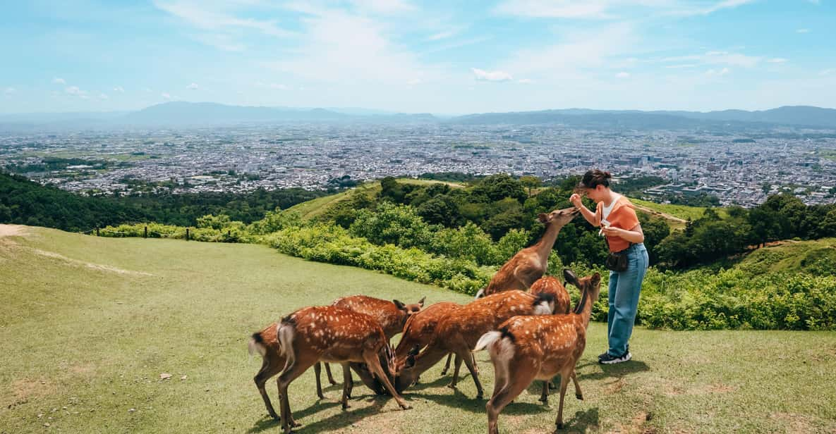 From Nara:Half-Day Bus Tour to UNESCO Heritage&Mt. Wakakusa - Starting Locations