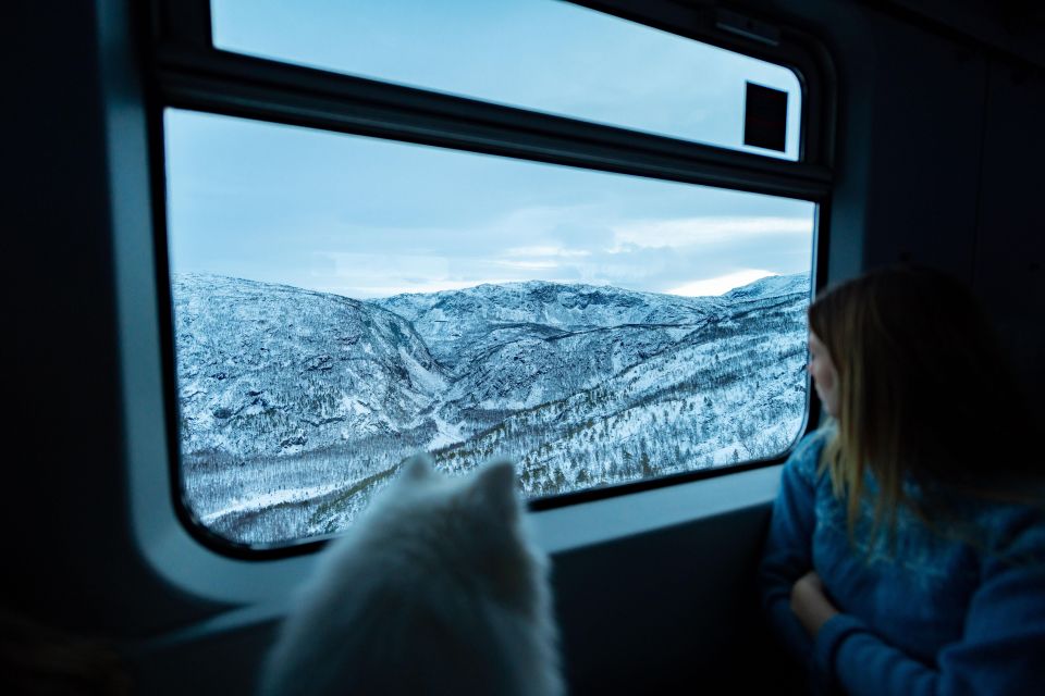 From Narvik: Round-Trip Arctic Train Ride on Ofoten Railway - Train Journey Details