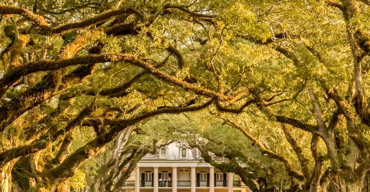 From New Orleans: Oak Alley Plantation Tour - Experience Details