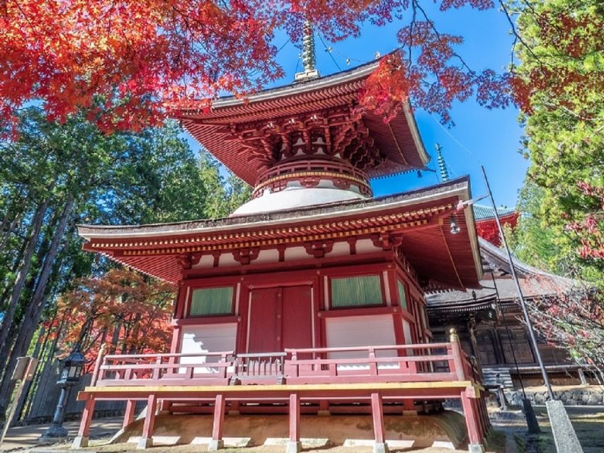 From Osaka: Mt. Koya Private Walking and Train Tour - Historical Significance