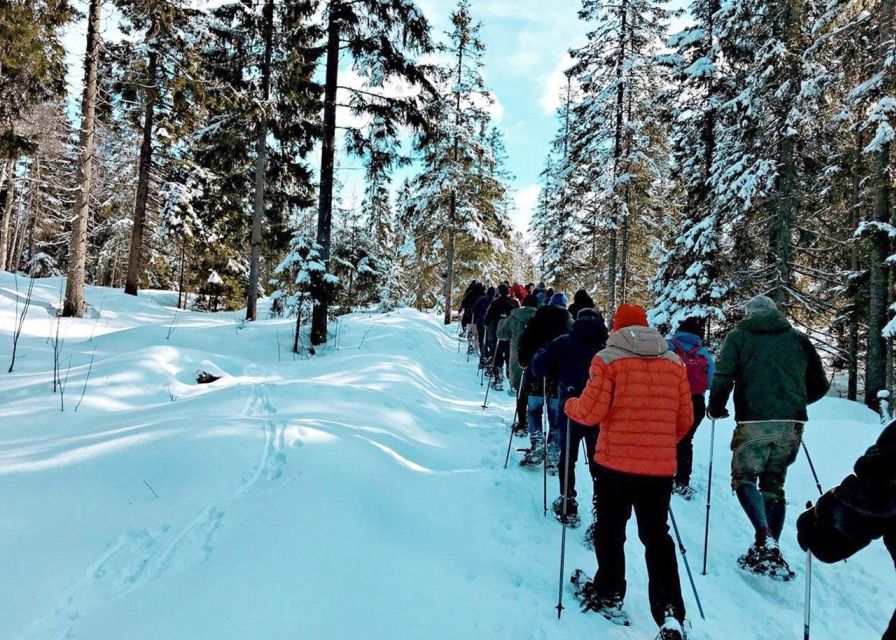 From Oslo: Oslomarka Forest Guided Snowshoeing Tour - Exploring the Oslomarka Forest