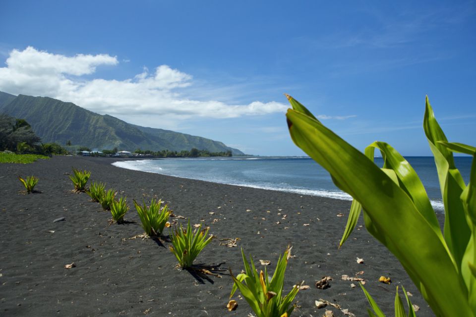 From Papeete: Tahiti Highlights Full-Day Private Tour - Pricing and Booking