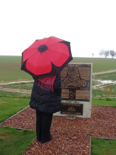 From Paris: WWI Somme Battlefields Full-Day Tour - Highlights of the Tour