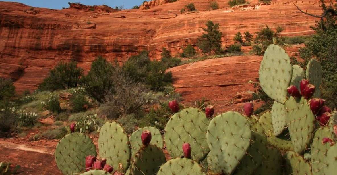 From Phoenix: Full-Day Sedona Small-Group Tour - Highlights of the Tour