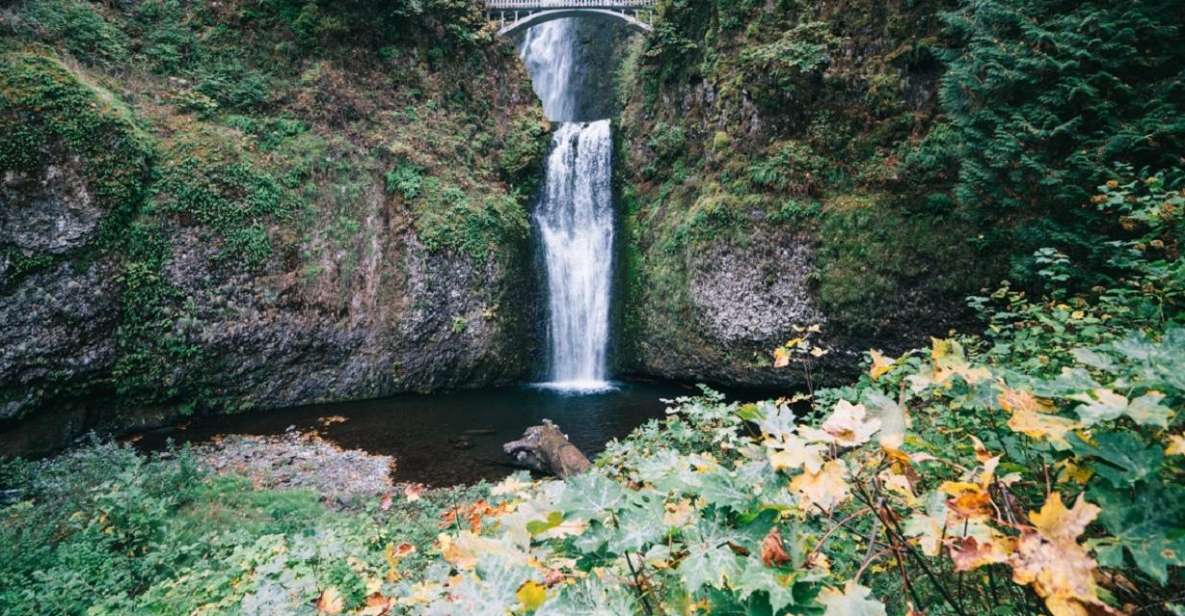 From Portland: Waterfalls, Mt Hood, and Wine Day Tour - Itinerary