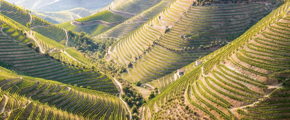 From Porto: Douro Valley W/ Boat Tour, Wine Tasting & Lunch - Itinerary Details