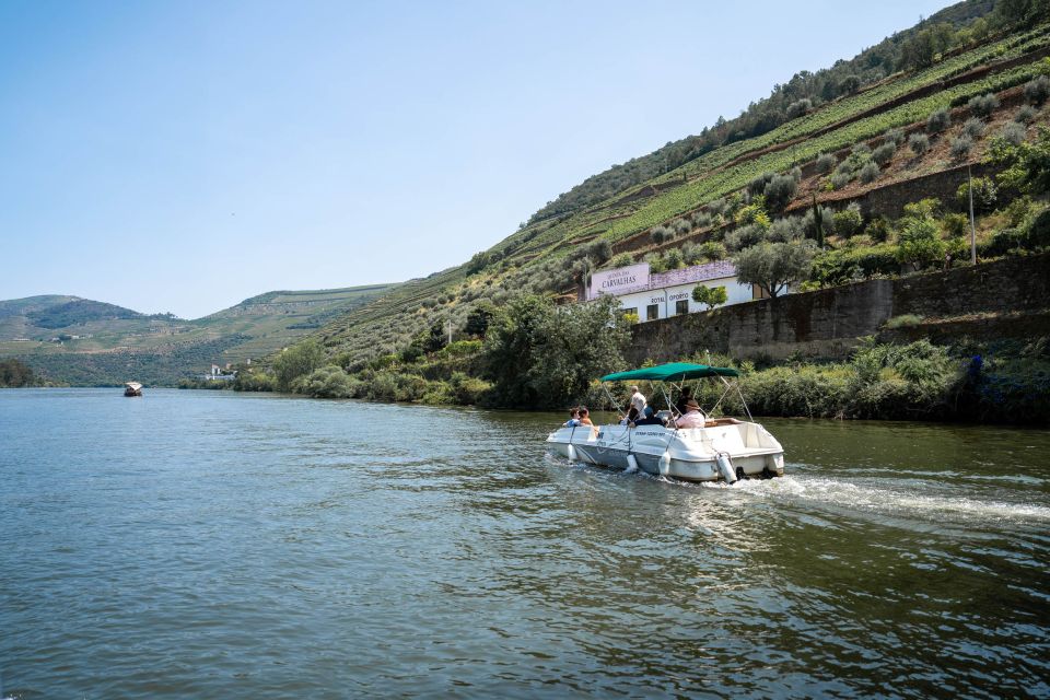 From Porto: Douro Valley Wine Tour With 3-Course Lunch - Highlights of the Experience