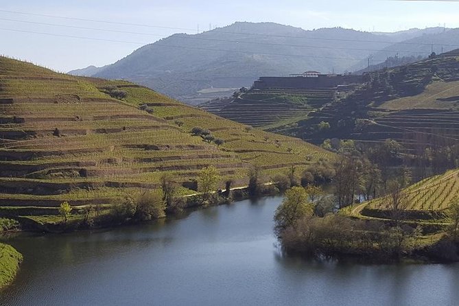 From Porto Private Tour Douro Valley Two Wineries, Lunch and Boat. - Cancellation Policy