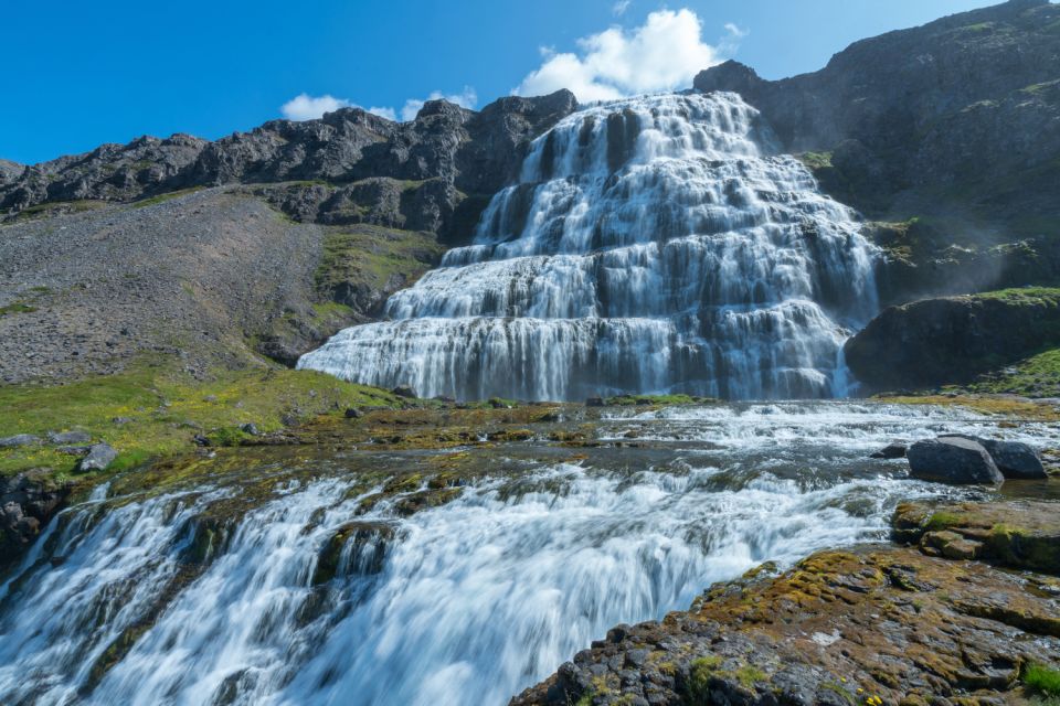 From Reykjavik: 3-Day Tour of the Wild Westfjords - Highlights and Activities