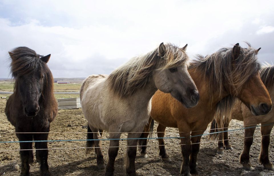 From Reykjavik: 6-Day Icelandic Ring Road Tour - Discover the South Coast