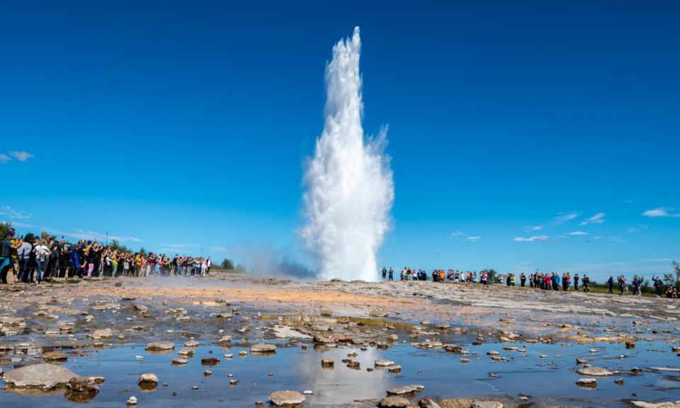 From Reykjavik: Full Day Whale Watching & Golden Circle Tour - Tour Duration and Pickup/Drop-off