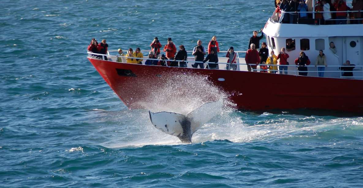 From Reykjavik: Golden Circle and Whale Watching Tour - Tour Activities