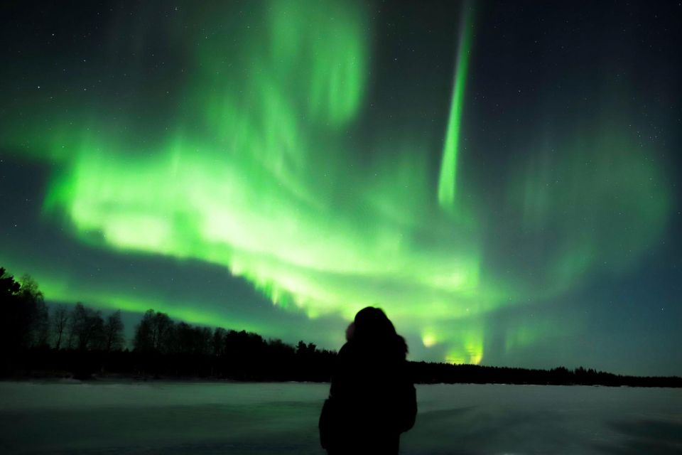 From Rovaniemi: Aurora Borealis Trip in Lapland Lakeside - Highlights of the Experience