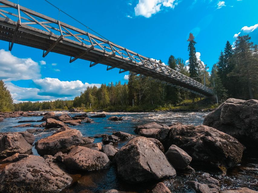 From Rovaniemi: Vikaköngas Forest Hiking Tour With BBQ - Tour Duration