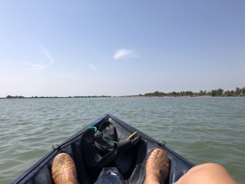 From Saintes Maries De La Mer: Safari and Canoeing - Discovering Camargues Flora and Fauna