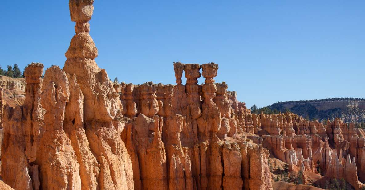 From Salt Lake City: Private Bryce Canyon National Park Tour - Pickup and Transportation