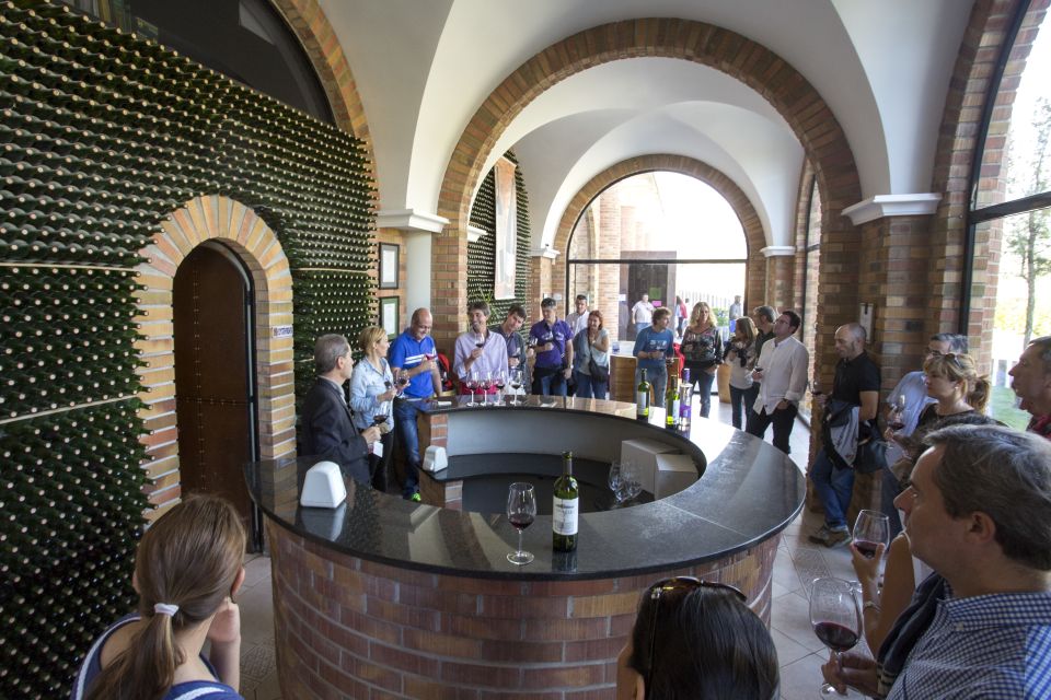 From San Sebastian/Bilbao/Vitoria: La Rioja Wineries Tour - Highlights