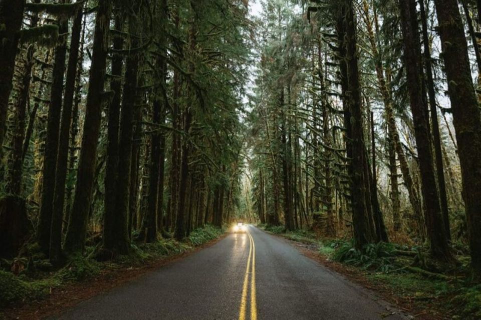 From Seattle: Twilight Forks Washington Tour - Scenic Drive to Bainbridge Island