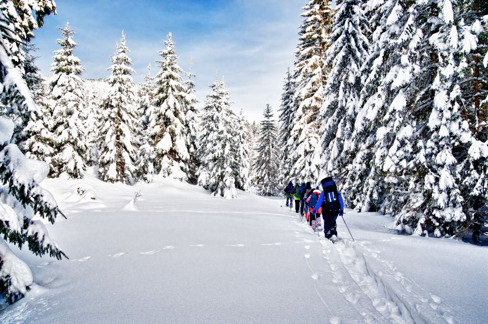 From Sirkka: Levi Summit Guided Nature Snowshoeing Tour - Highlights of the Experience