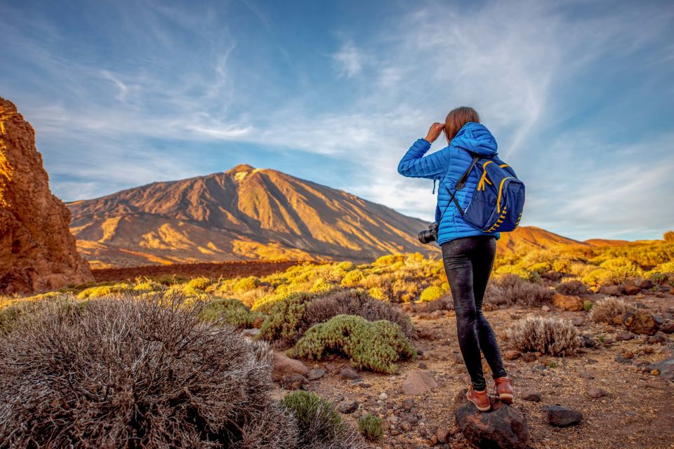 From South Tenerife: Mount Teide Hiking Day Trip & Cable Car - Itinerary and Experience