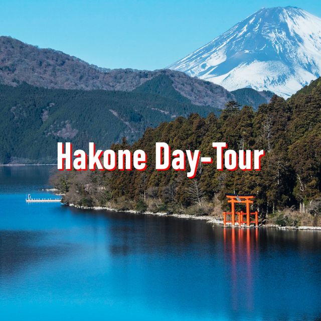 From Tokyo: 10-hour Hakone Private Custom Tour - Tour Features