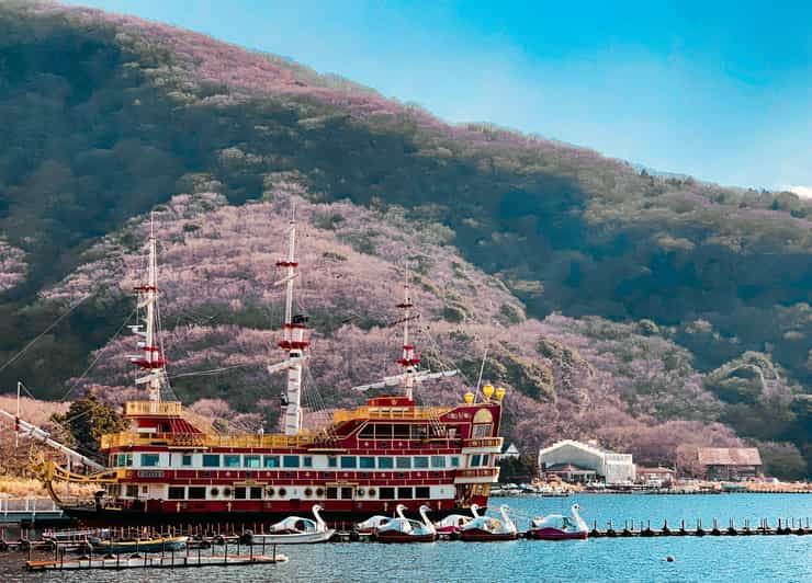 From Tokyo : Hakone Onsen , Nature and Art Day Tour - Transportation Details