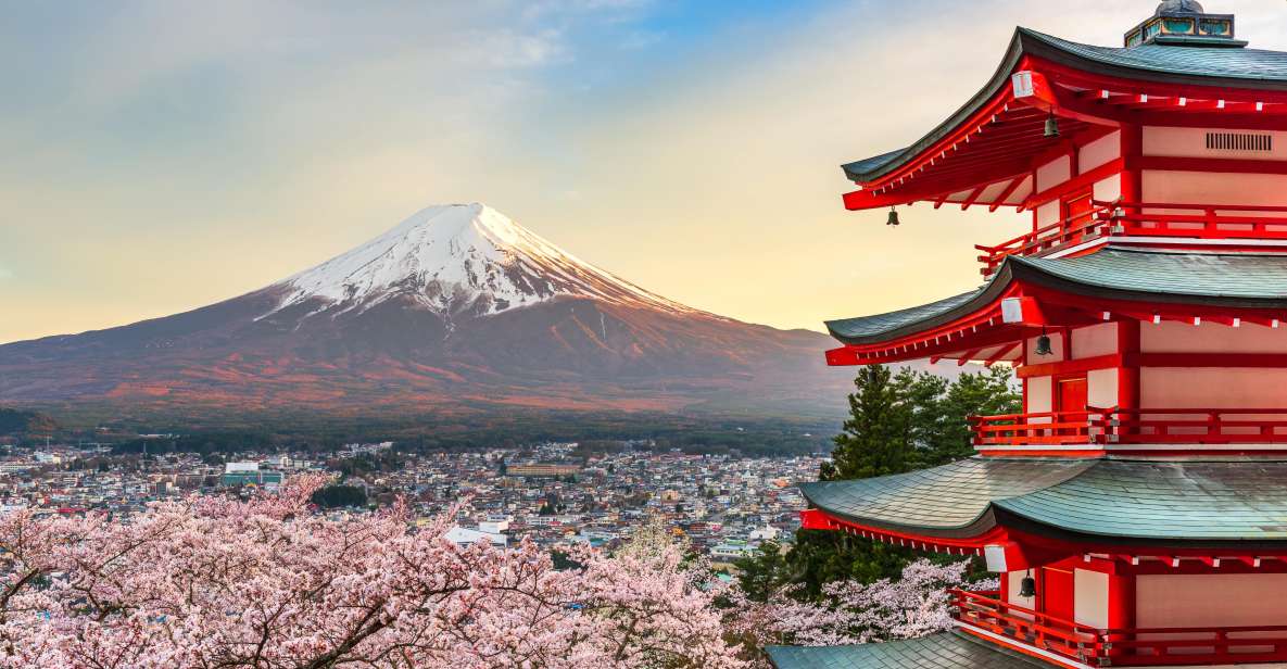 From Tokyo: Mt. Fuji or Hakone Private Sightseeing Day Trip - Itinerary Options