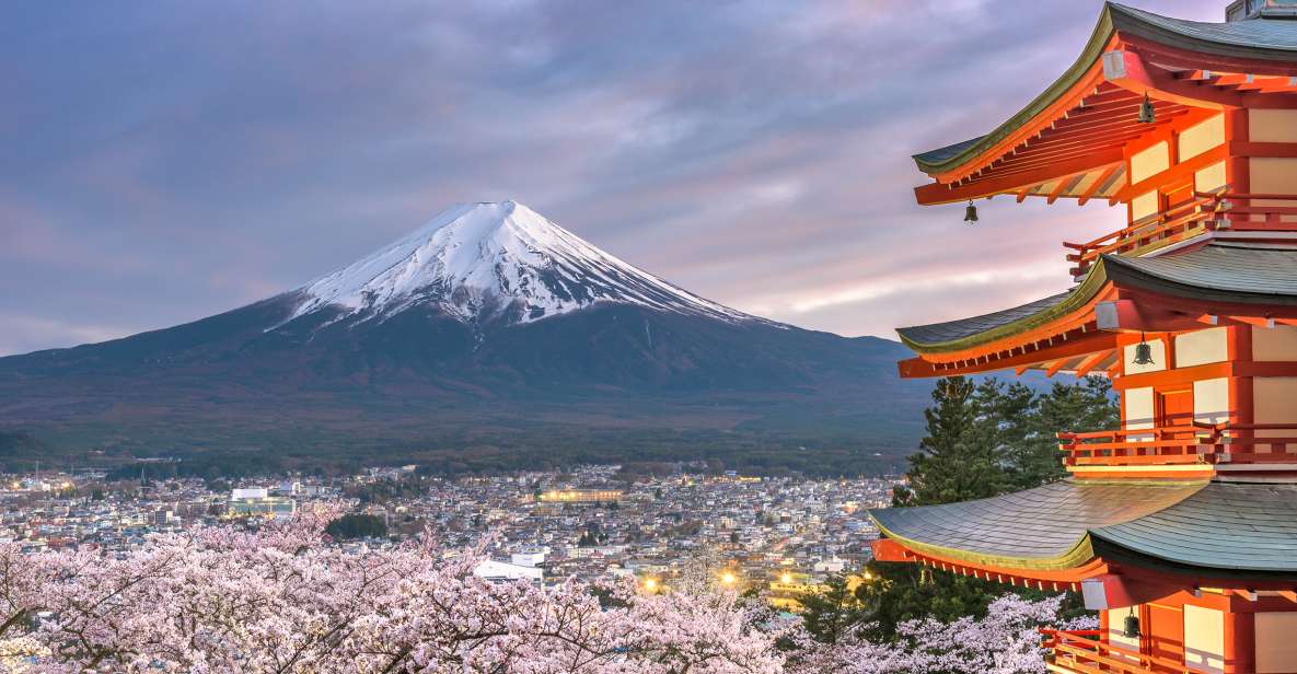 From Tokyo: Private Sightseeing Tour to Mount Fuji & Hakone - Itinerary and Highlights