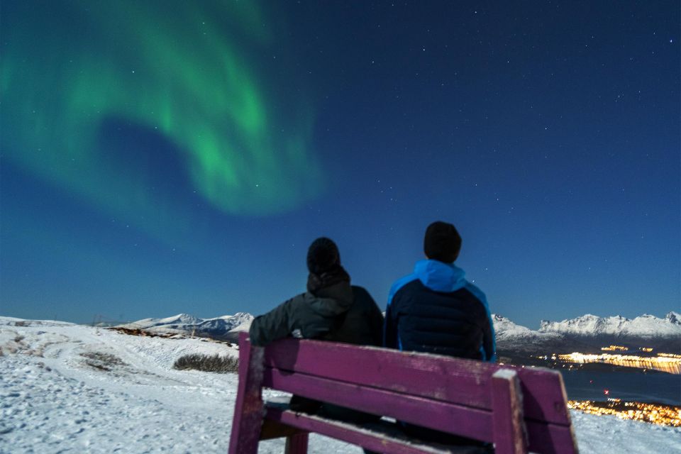 From Tromsø: Evening Fjellheisen Snowshoe Hike and Cable Car - Inclusions