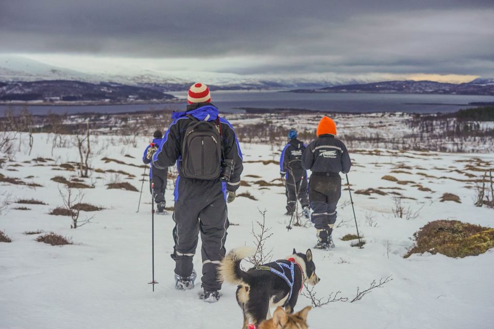 From Tromsø: Guided Husky Snowshoe Hike and Husky Camp Visit - Terrain Suitability for Beginners