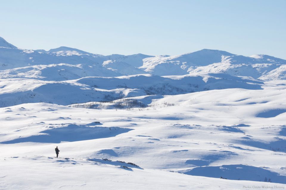 From Tromsø: Guided Snowshoe Hike With Cafe Visit - Transportation and Pickup