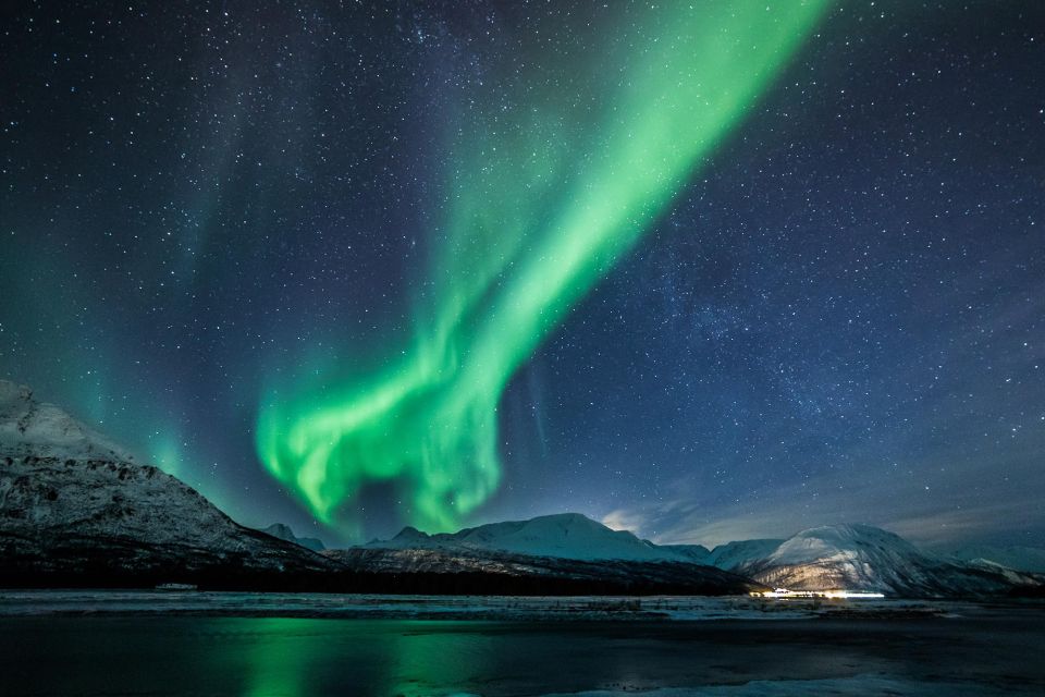 From Tromsø: Overnight Northern Lights & Whale Watching Tour - Whale Watching Exploration