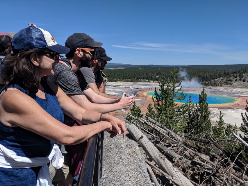 From West Yellowstone: Lower Loop Active Van Tour - Highlights of the Tour