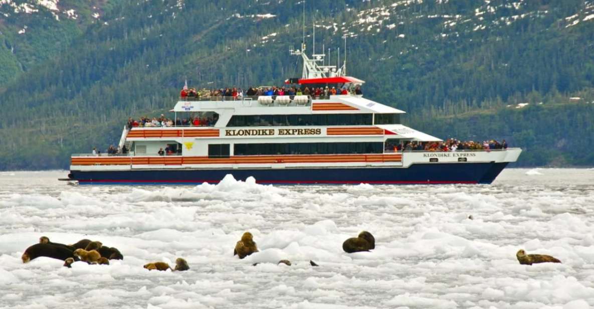 From Whittier/Anchorage: Prince William Sound Glacier Cruise - Cruise Highlights and Features