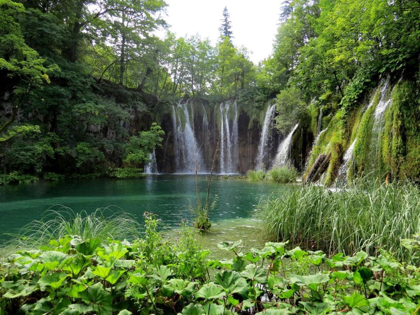 From Zagreb to Zadar: Plitvice Lakes Private Tour - Itinerary and Highlights