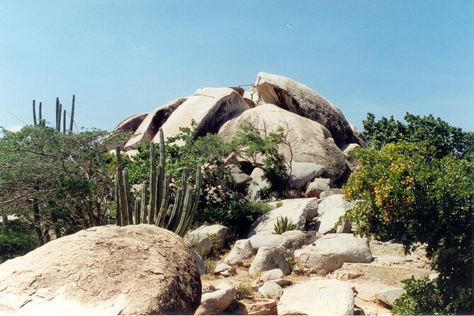 Full-Day Aruba Self-Guided Jeep Rental With Transport - Rental Jeep and Logistics