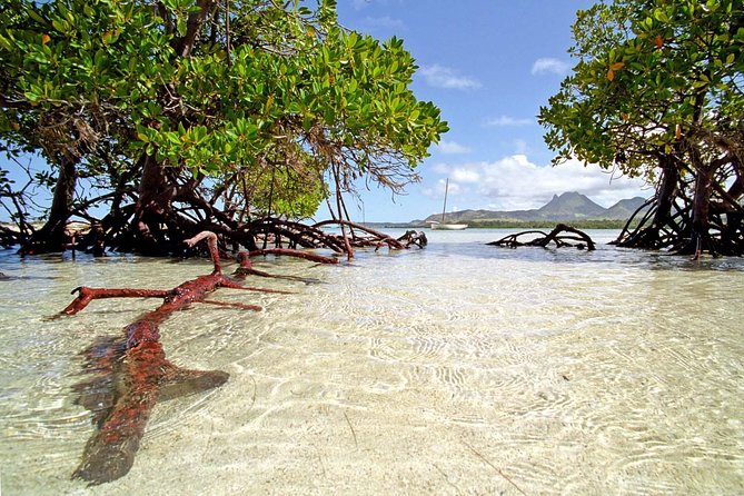 Full-Day At Ile Aux Cerf: Speed Boat, GRSE, Lunch On A Private Island & Transfer - Tour Inclusions