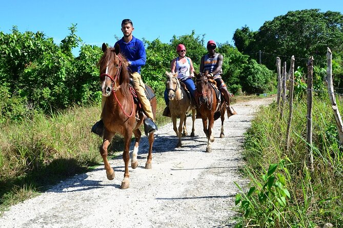 Full-Day Bavaro Adventure Park Packages From Punta Cana - Safety and Recommendations