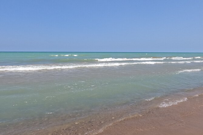 Full-Day Beach Day at Grand Bend - Meeting Point Options