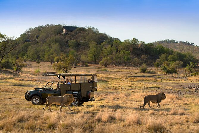 Full Day Pilanesberg Safari Adventure - Lunch and Refreshments