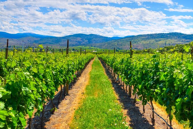 Full-Day Private Fraser Valley Wine Tour From Vancouver - Inclusions